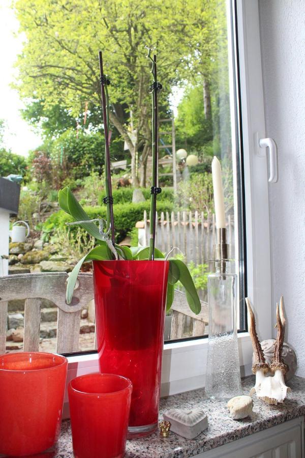 Bed & Breakfast Bodensee Mit Herz ชตอคคาค ภายนอก รูปภาพ