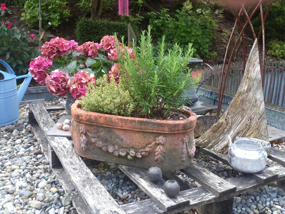 Bed & Breakfast Bodensee Mit Herz ชตอคคาค ภายนอก รูปภาพ